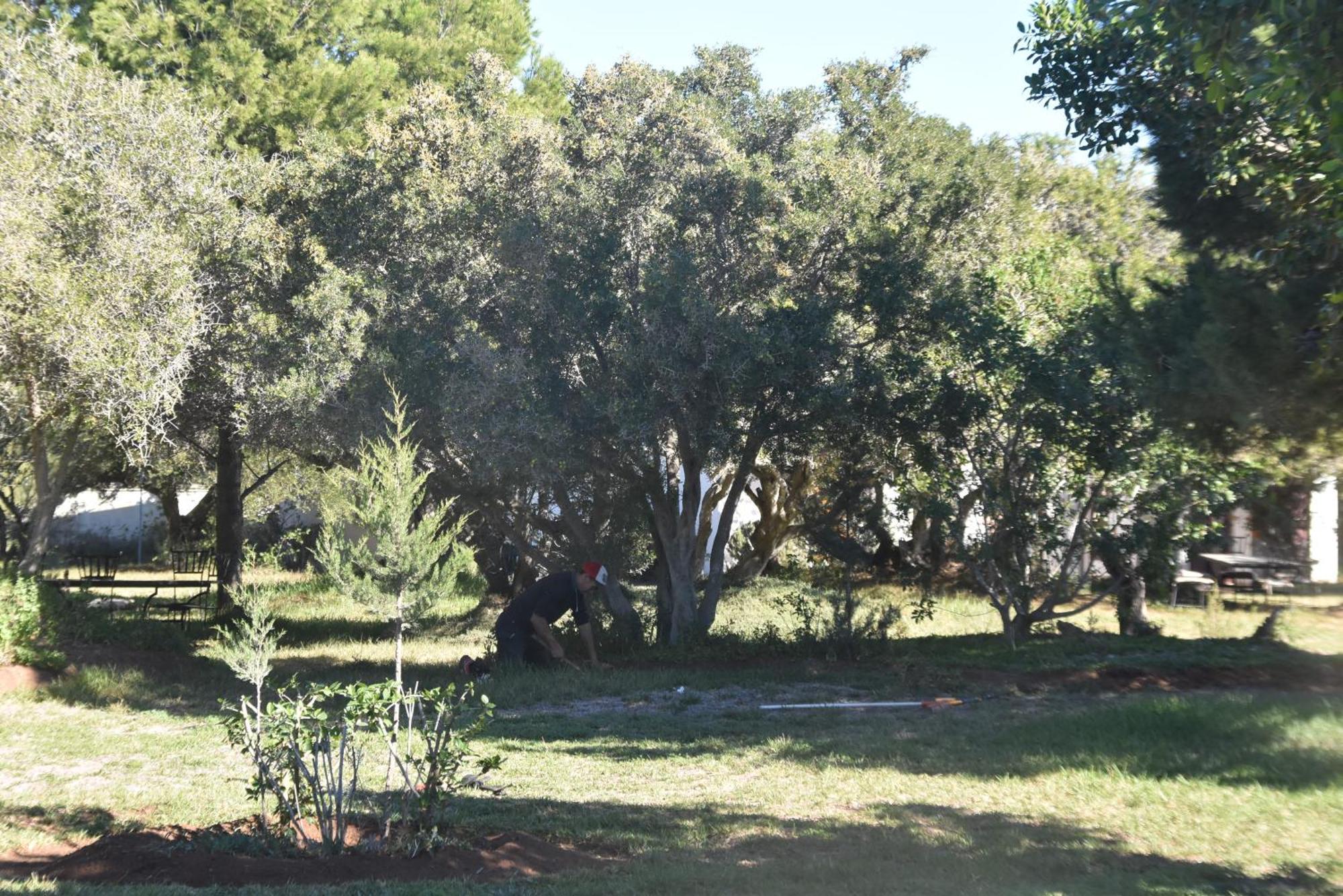 Domaine De L'Arganeraie Hotel Ghazoua Ngoại thất bức ảnh