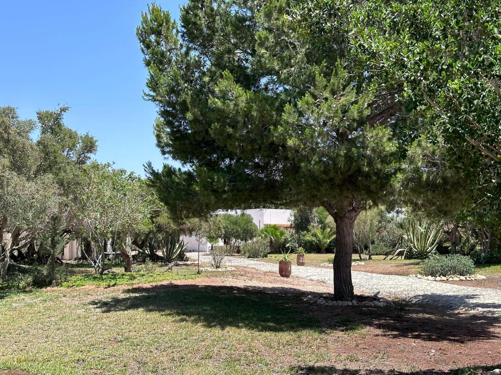 Domaine De L'Arganeraie Hotel Ghazoua Ngoại thất bức ảnh